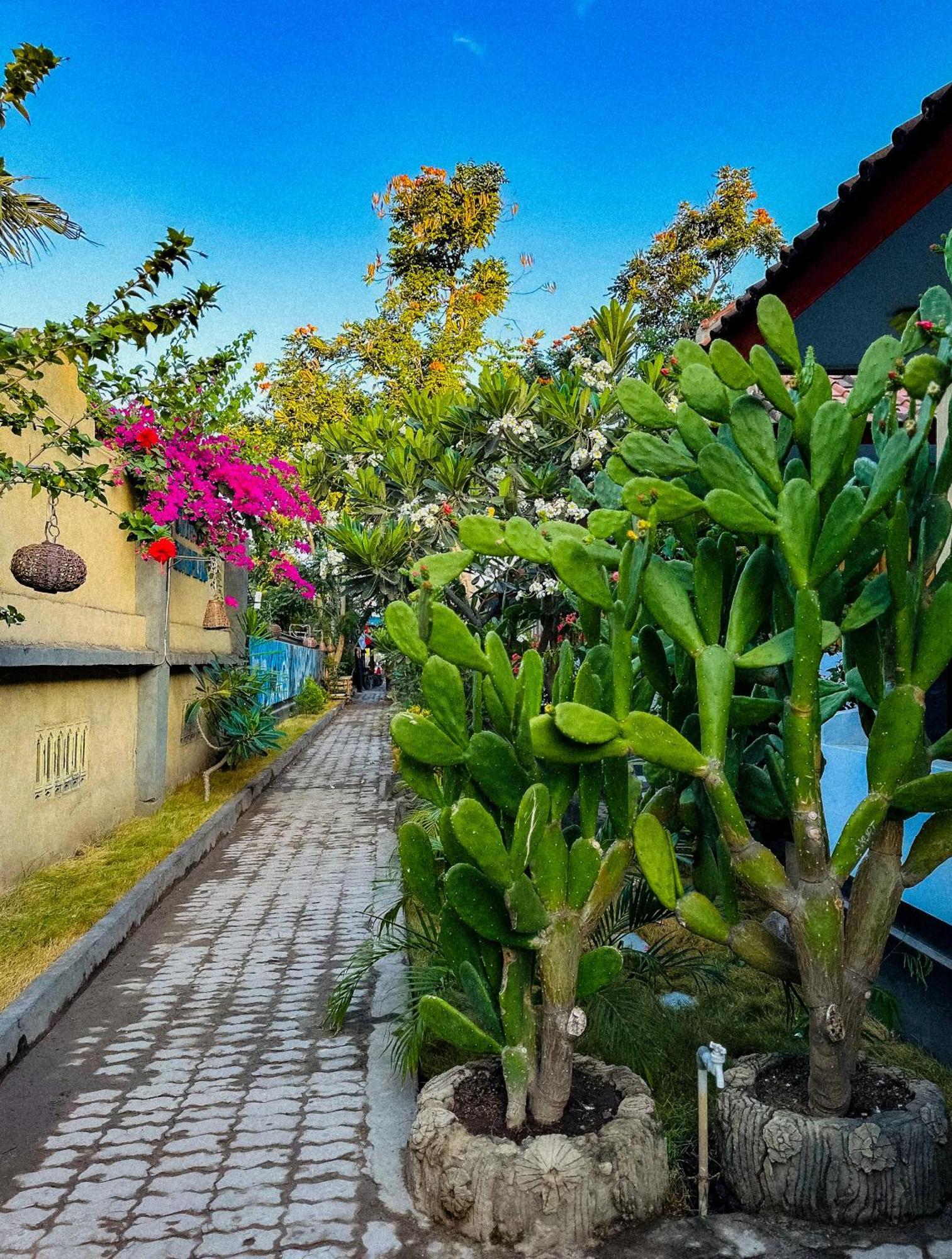 Creative Bungalow Beach Front Гили Траванган Экстерьер фото