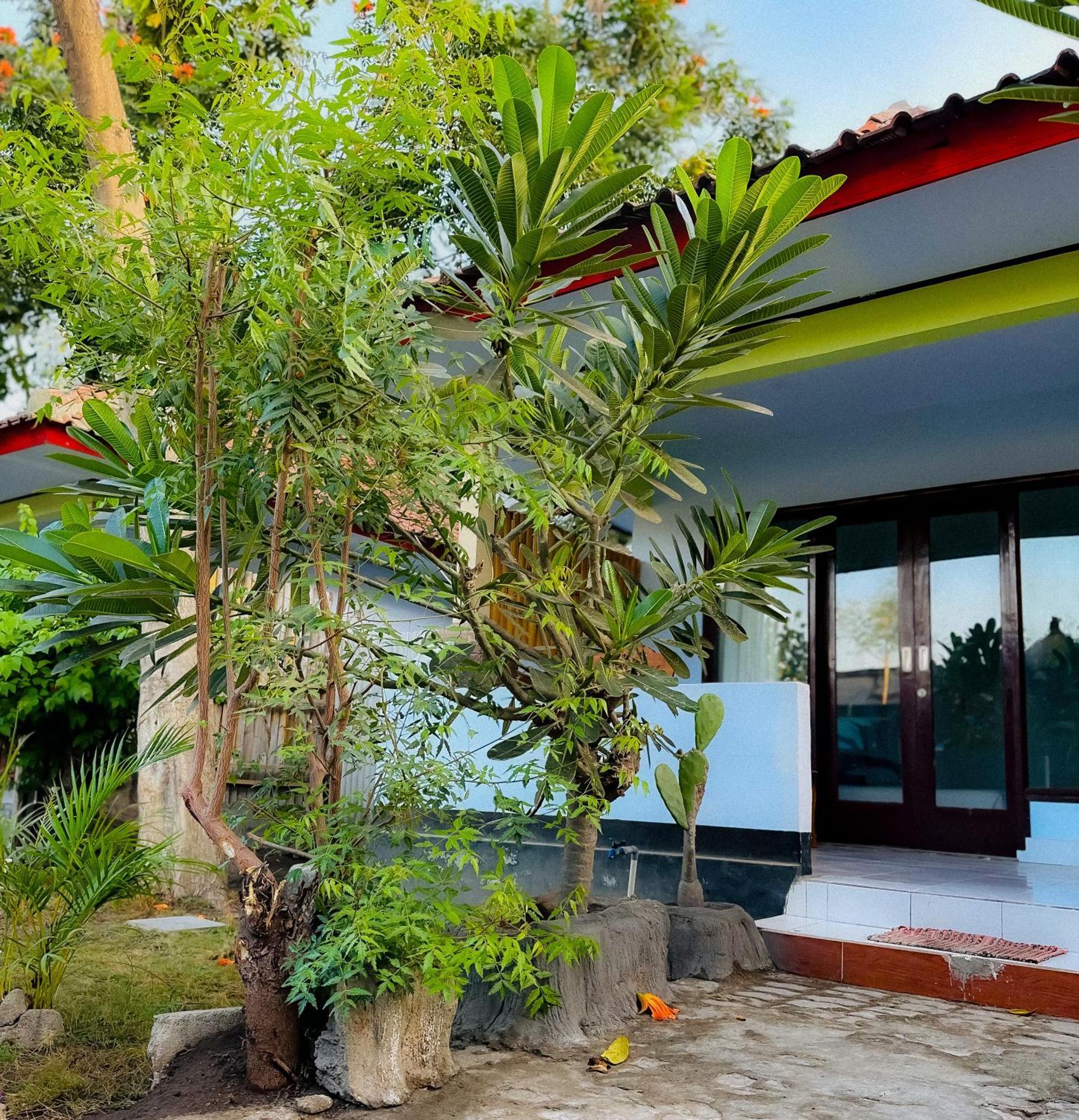 Creative Bungalow Beach Front Гили Траванган Экстерьер фото